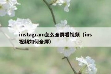 instagram怎么全屏看视频（ins视频如何全屏）