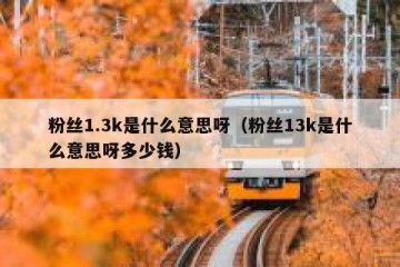 粉丝1.3k是什么意思呀（粉丝13k是什么意思呀多少钱）