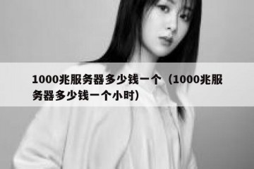 1000兆服务器多少钱一个（1000兆服务器多少钱一个小时）