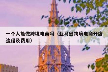 一个人能做跨境电商吗（亚马逊跨境电商开店流程及费用）