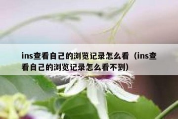 ins查看自己的浏览记录怎么看（ins查看自己的浏览记录怎么看不到）