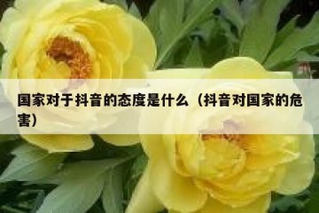 国家对于抖音的态度是什么（抖音对国家的危害）