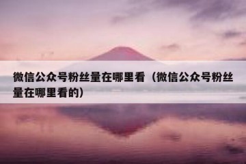 微信公众号粉丝量在哪里看（微信公众号粉丝量在哪里看的）