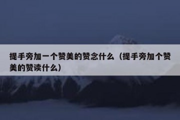 提手旁加一个赞美的赞念什么（提手旁加个赞美的赞读什么）