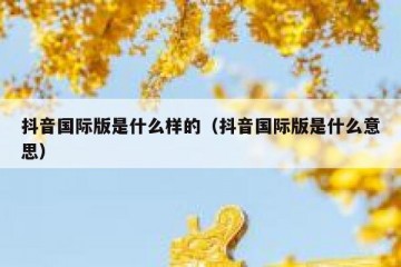 抖音国际版是什么样的（抖音国际版是什么意思）