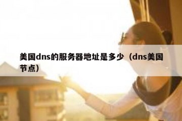 美国dns的服务器地址是多少（dns美国节点）