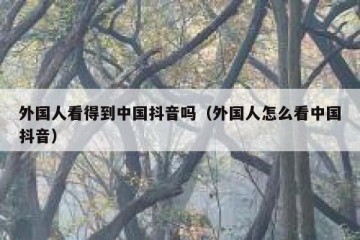 外国人看得到中国抖音吗（外国人怎么看中国抖音）