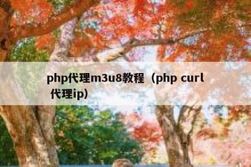 php代理m3u8教程（php curl 代理ip）
