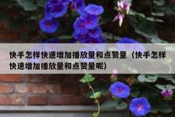 快手怎样快速增加播放量和点赞量（快手怎样快速增加播放量和点赞量呢）