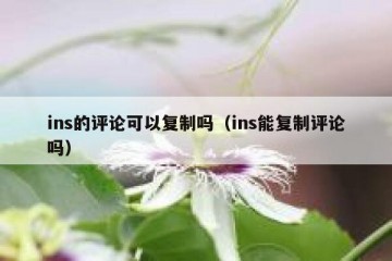 ins的评论可以复制吗（ins能复制评论吗）