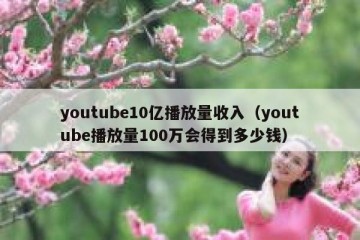 youtube10亿播放量收入（youtube播放量100万会得到多少钱）