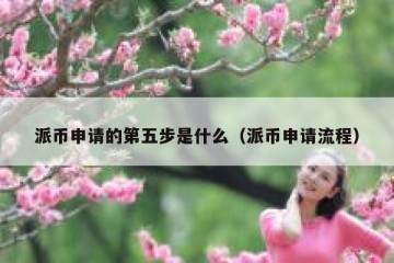 派币申请的第五步是什么（派币申请流程）