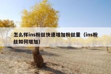 怎么样ins粉丝快速增加粉丝量（ins粉丝如何增加）