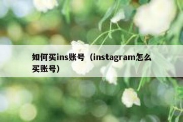 如何买ins账号（instagram怎么买账号）