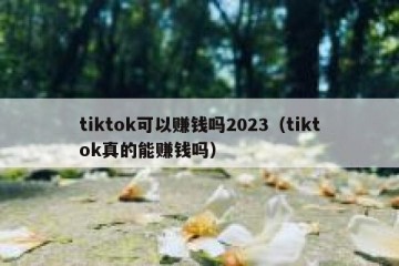 tiktok可以赚钱吗2023（tiktok真的能赚钱吗）