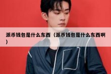 派币钱包是什么东西（派币钱包是什么东西啊）