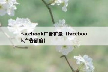 facebook广告扩量（facebook广告额度）