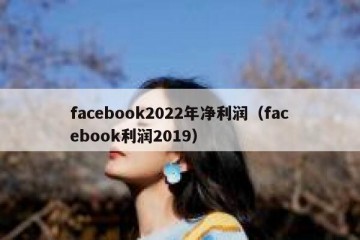 facebook2022年净利润（facebook利润2019）
