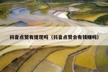 抖音点赞有提现吗（抖音点赞会有钱赚吗）