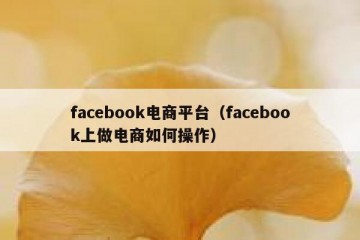 facebook电商平台（facebook上做电商如何操作）