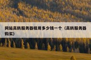 网站高防服务器租用多少钱一个（高防服务器购买）
