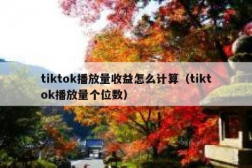 tiktok播放量收益怎么计算（tiktok播放量个位数）