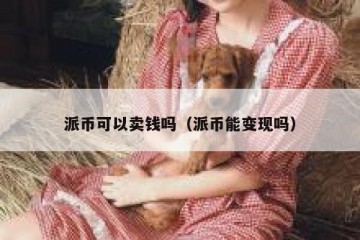 派币可以卖钱吗（派币能变现吗）