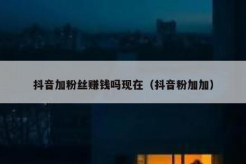 抖音加粉丝赚钱吗现在（抖音粉加加）