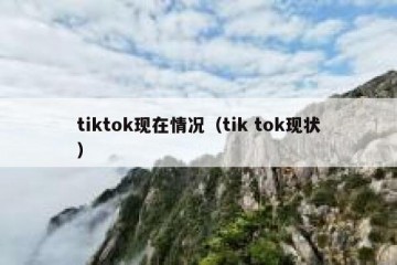 tiktok现在情况（tik tok现状）