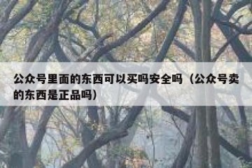 公众号里面的东西可以买吗安全吗（公众号卖的东西是正品吗）