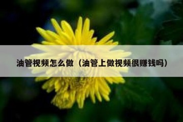 油管视频怎么做（油管上做视频很赚钱吗）