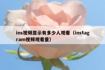 ins视频显示有多少人观看（instagram视频观看量）