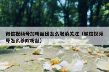 微信视频号加粉丝团怎么取消关注（微信视频号怎么移除粉丝）