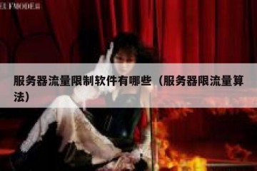服务器流量限制软件有哪些（服务器限流量算法）