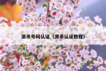 派币号码认证（派币认证教程）