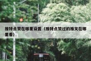 推特点赞在哪里设置（推特点赞过的推文在哪里看）