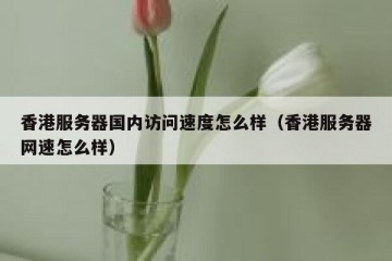 香港服务器国内访问速度怎么样（香港服务器网速怎么样）