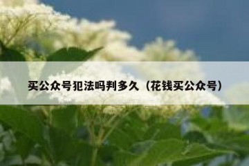 买公众号犯法吗判多久（花钱买公众号）