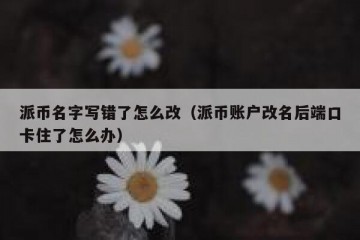 派币名字写错了怎么改（派币账户改名后端口卡住了怎么办）