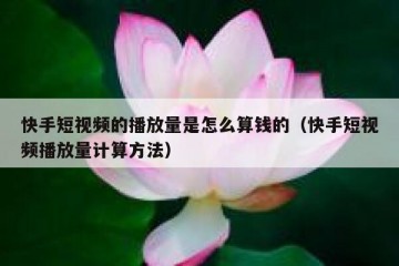 快手短视频的播放量是怎么算钱的（快手短视频播放量计算方法）