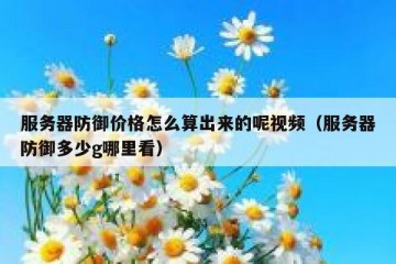 服务器防御价格怎么算出来的呢视频（服务器防御多少g哪里看）