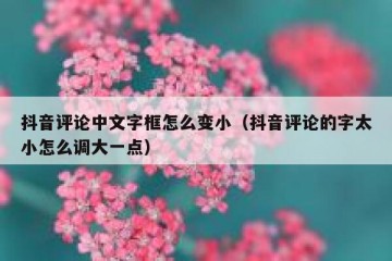抖音评论中文字框怎么变小（抖音评论的字太小怎么调大一点）