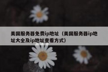 美国服务器免费ip地址（美国服务器ip地址大全及ip地址查看方式）
