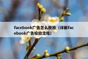 facebook广告怎么投放（详解facebook广告投放流程）