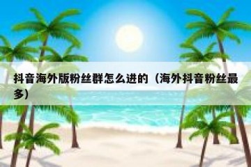 抖音海外版粉丝群怎么进的（海外抖音粉丝最多）