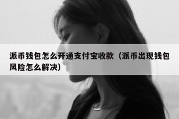派币钱包怎么开通支付宝收款（派币出现钱包风险怎么解决）