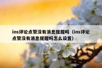 ins评论点赞没有消息提醒吗（ins评论点赞没有消息提醒吗怎么设置）