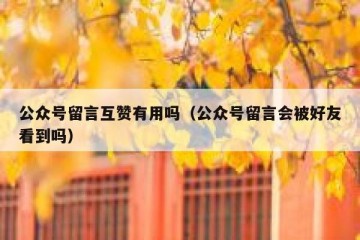 公众号留言互赞有用吗（公众号留言会被好友看到吗）