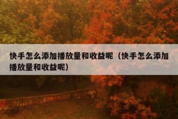快手怎么添加播放量和收益呢（快手怎么添加播放量和收益呢）