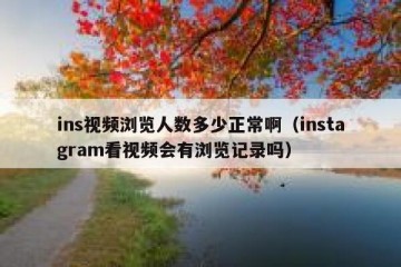 ins视频浏览人数多少正常啊（instagram看视频会有浏览记录吗）